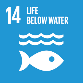 This is an image of #14 of The United Nations  Sustainable Development Goals - Life Below Water. The image is of a white fish facing to the right with two waves above it. The image is on a light blue background.