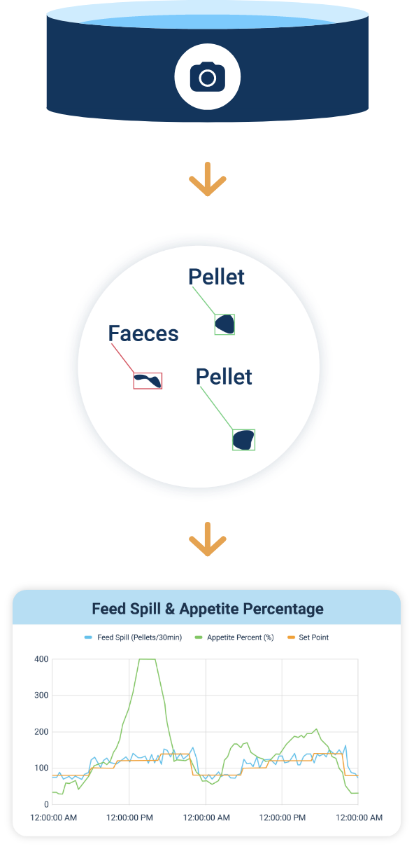 This is iconography that shows a tank with a camera system, a magnified view into pellet and feces counting and a graphic of a browser window that showcases the relation of time to feed spill, appetite percentage and set points on a graph.